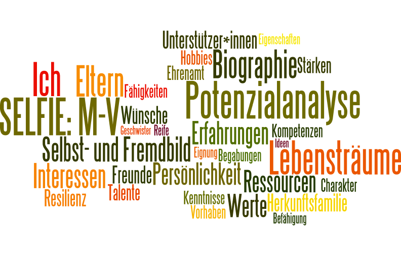 Selbsterkundung und Förderung individueller Entscheidungen in der schulischen Berufsorientierung (SELFIE) mit „Mission ICH“