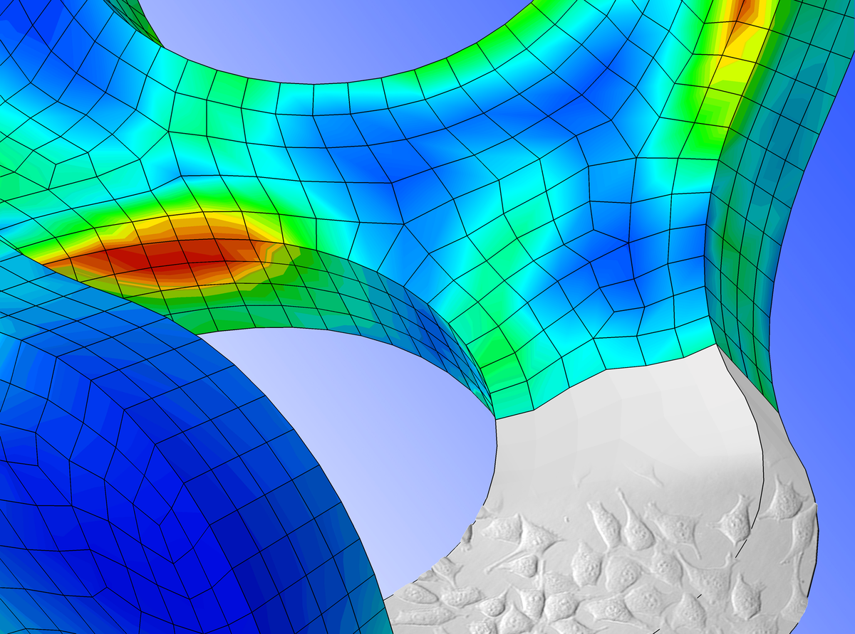 Structural mechanics